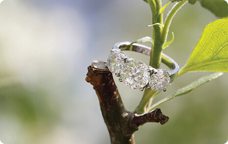 Community Upliftment