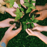 Striliant jewelry showcase