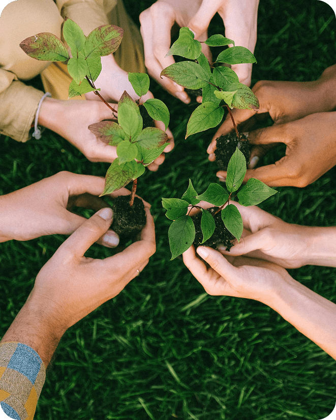 Striliant sustainability and environment